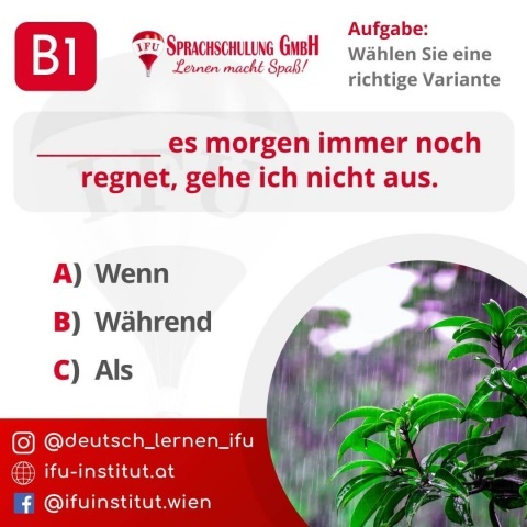  - Foto