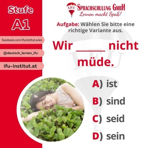  - Foto