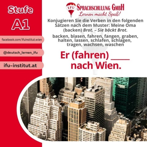  - Foto