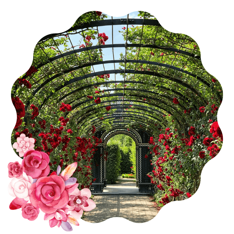 Deutsch-Sommerkurse - Kursdauer | IFU Sprachschulung