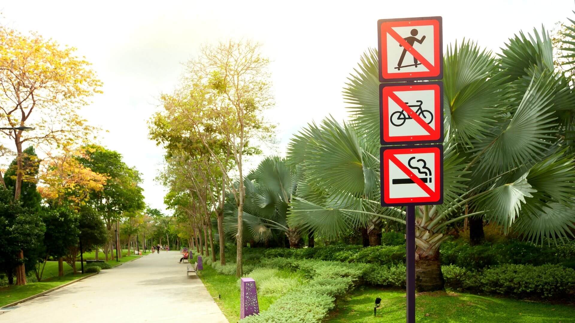 Fragen für Niveau A1.2 | IFU Sprachschulung GmbH