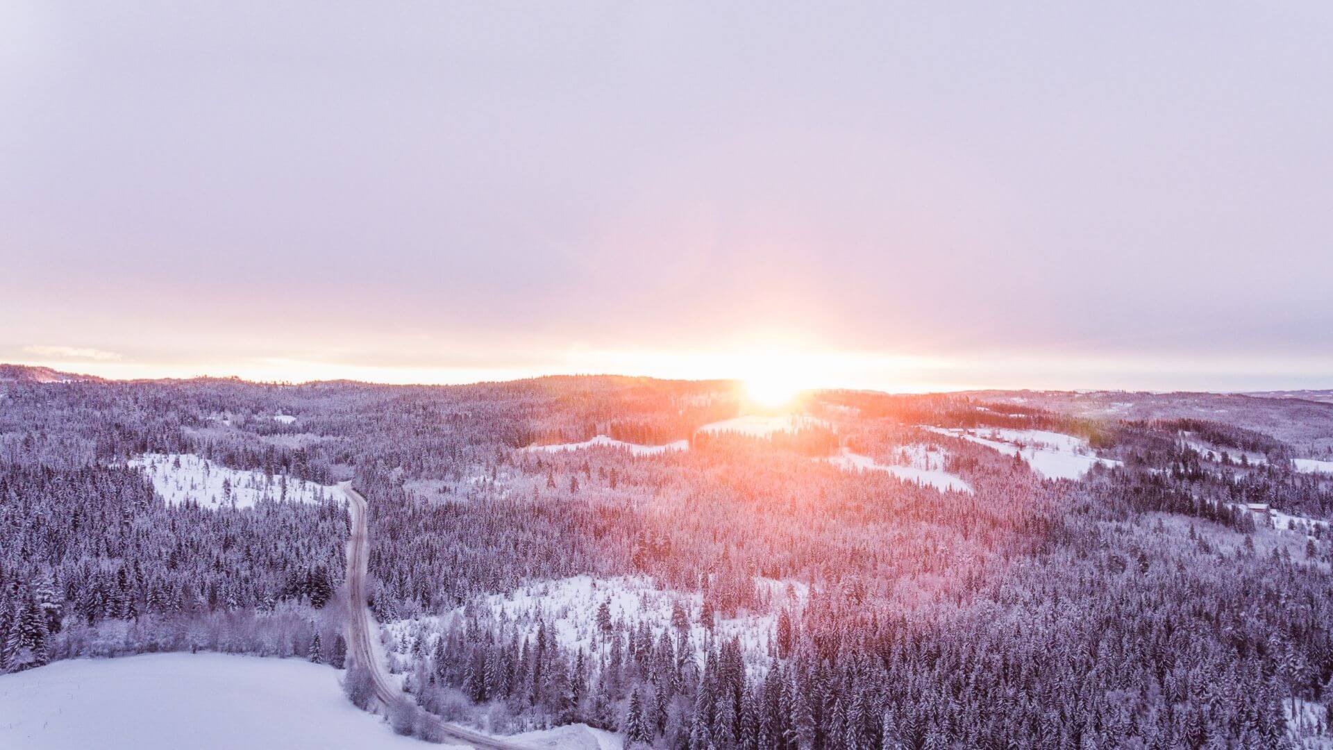 Fragen für Niveau B1.2 | IFU Sprachschulung GmbH