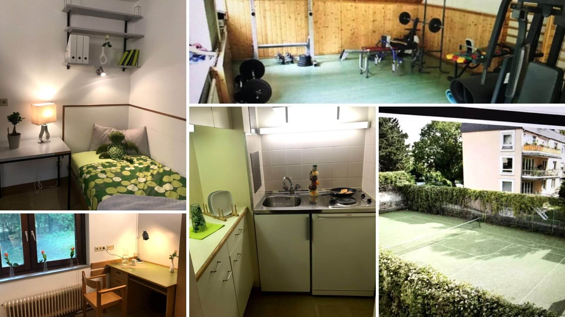 Starkfriedgasse | IFU Sprachschulung