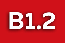 Fragen für Niveau B1.2