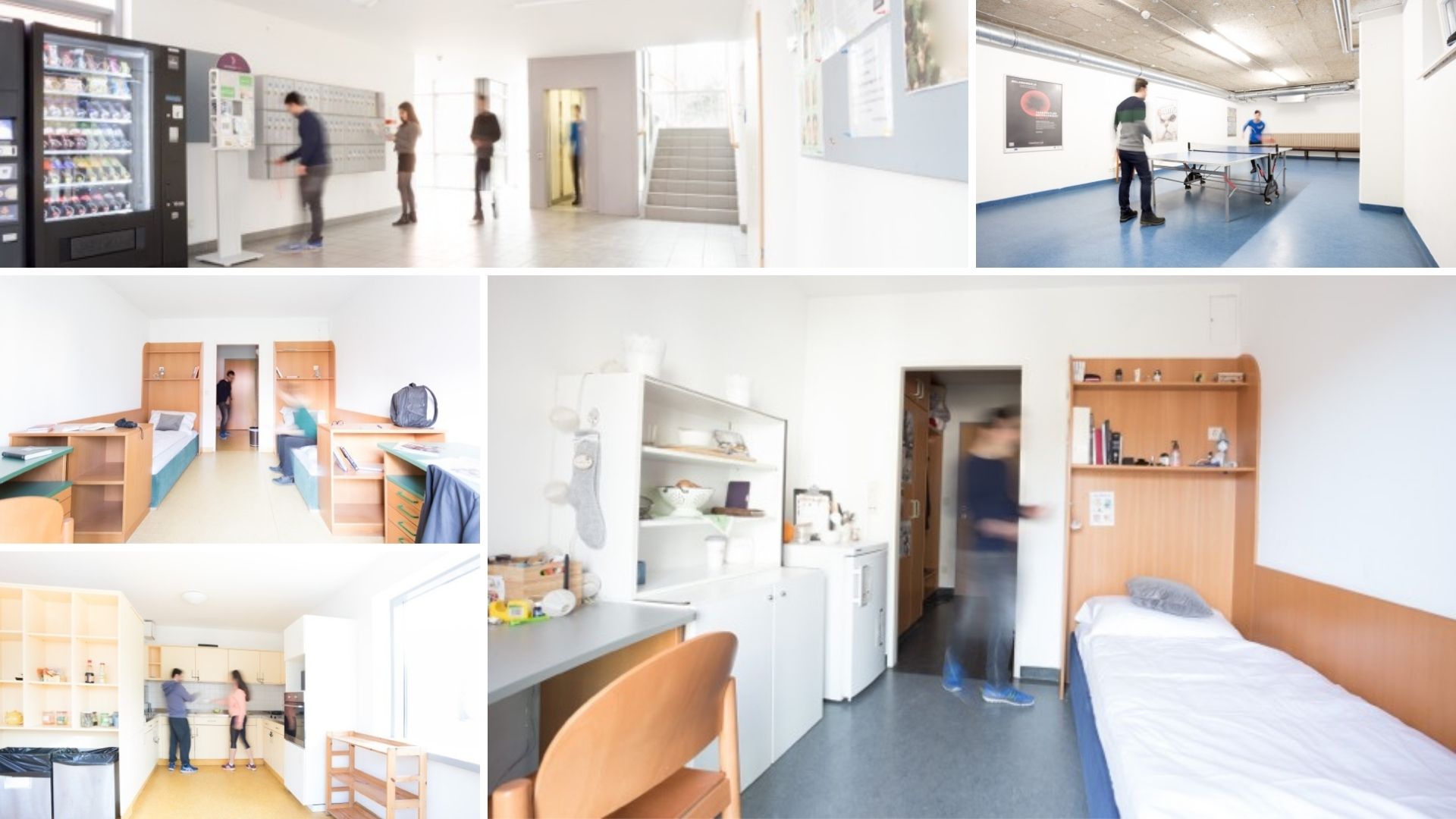 HAUS EUROPAHAUS | IFU Sprachschulung